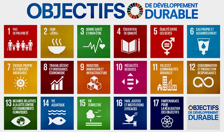 Objectifs Développement Durable PNUD